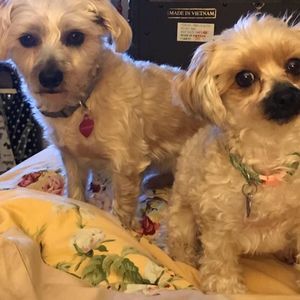 Meet your Posher, Edy